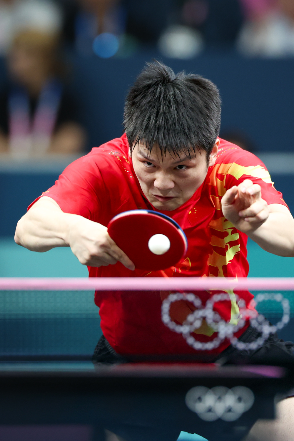 关于法国乒乓球队力克韩国乒乓球队，樊振东高光表现的信息