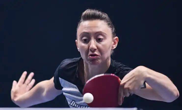 波兰乒乓球队逆转奥地利乒乓球队，波尔绝境逆转的简单介绍