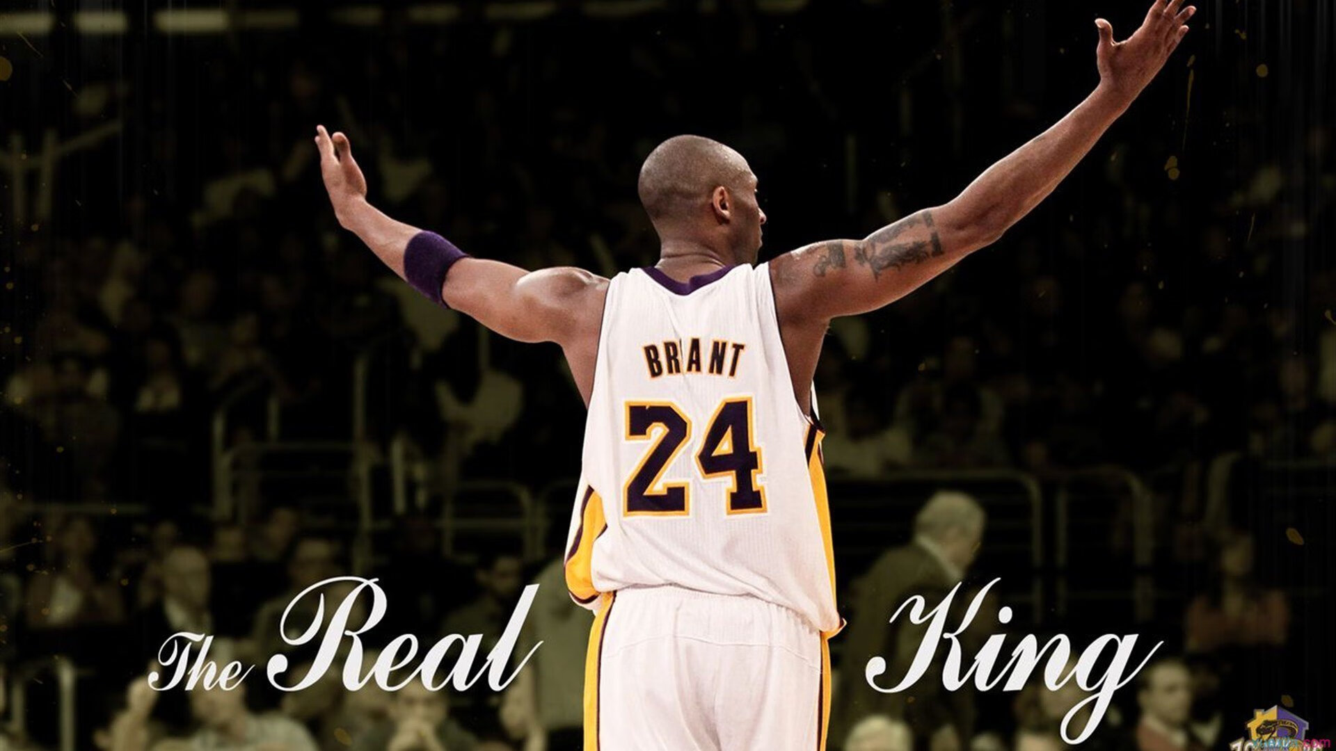 孤胆英雄与团队救赎,德约科维奇ATP总决赛绝杀法网,扛起全队荣光的背后